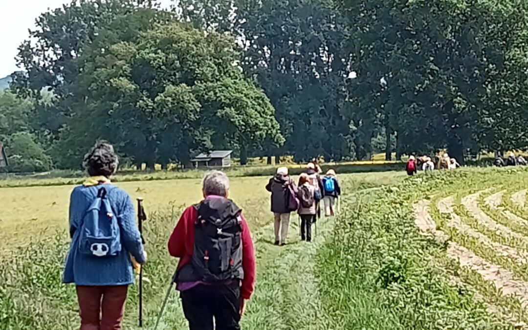 Marche et prière | Conflans Ste Honorine | Dimanche 20 juillet